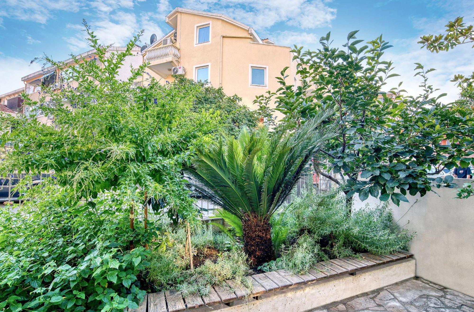 Apartman Sun Budva